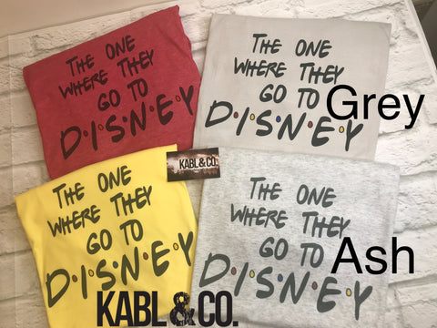 The one where they go to Disney - DW