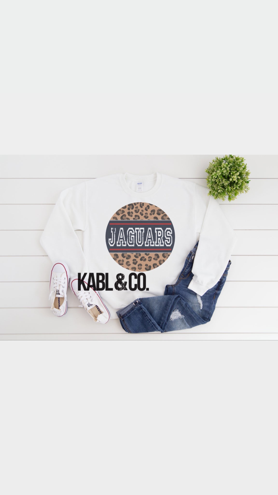 Jaguars Leopard Circle